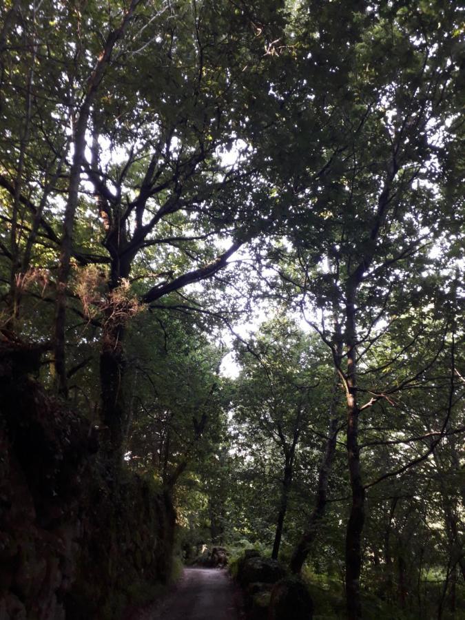 Quinta Da Casa Matilde - Nature House جيريز المظهر الخارجي الصورة