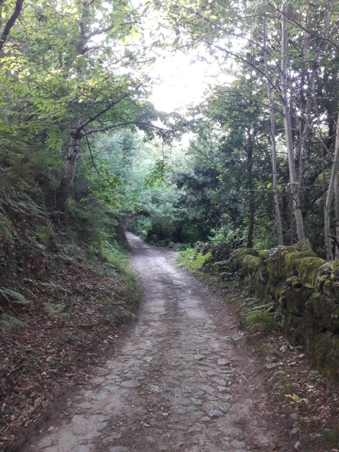 Quinta Da Casa Matilde - Nature House جيريز المظهر الخارجي الصورة